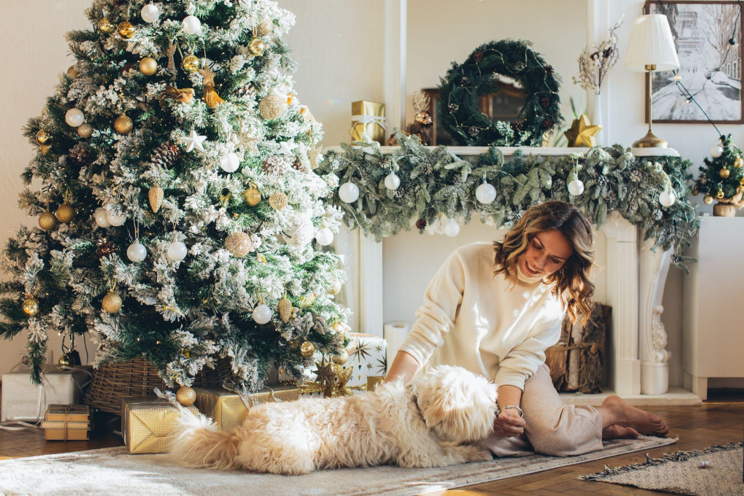 The Joy of a Pre-lit Christmas Tree